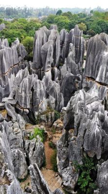 A Floresta de Pedra de Jinchang: Uma Maravilha Natural Escondida em um Mar de Rochas!