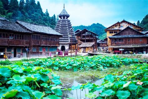 Explore a Floresta de Bambu de Huanggang: Um Refúgio Tranquilo com Paisagens Incrivelmente Belas!