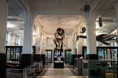 The Manchester Museum: Um Tesouro Escondido de História Natural e Cultura Global!